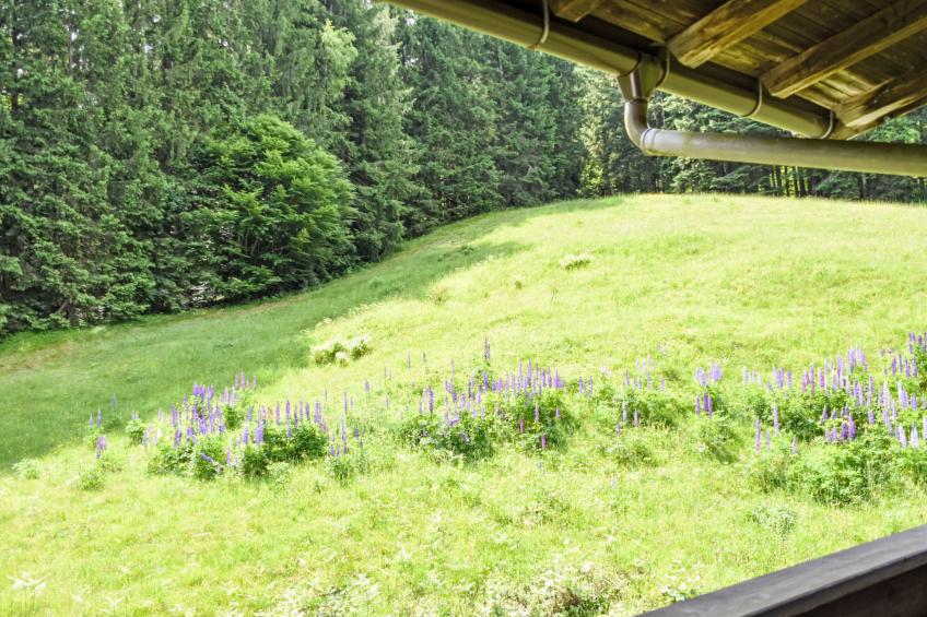 Studio Esche 3 - foto 45