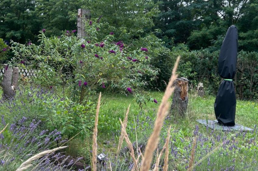 Datscha im Grünen - foto 44