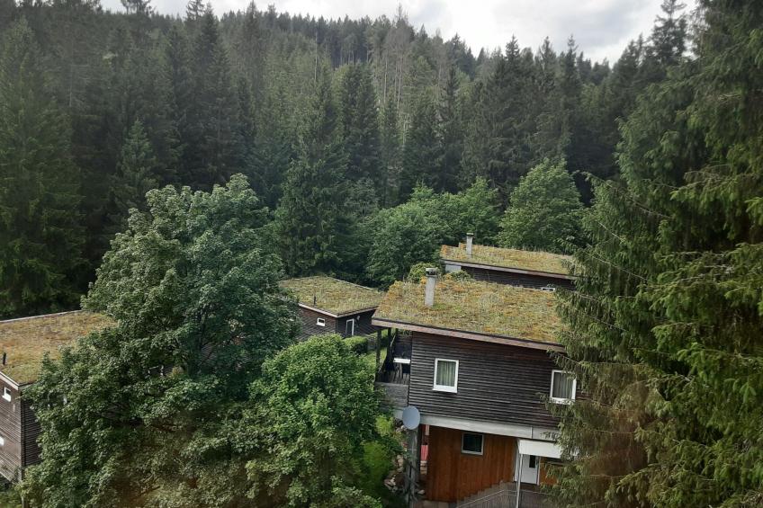 für 6 Personen im Thüringer Wald - foto 26