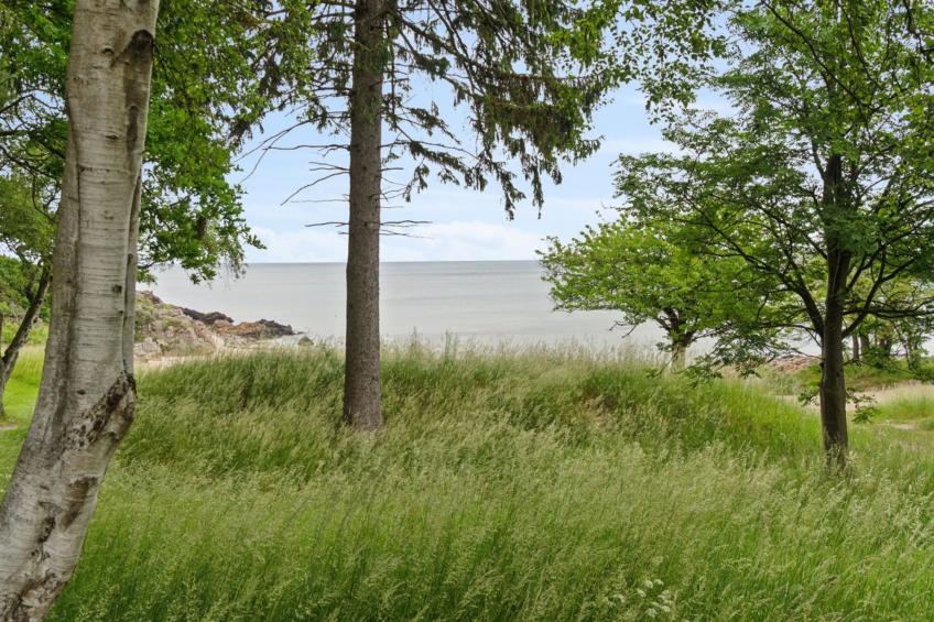 "Ømund" - 100m from the sea - foto 5