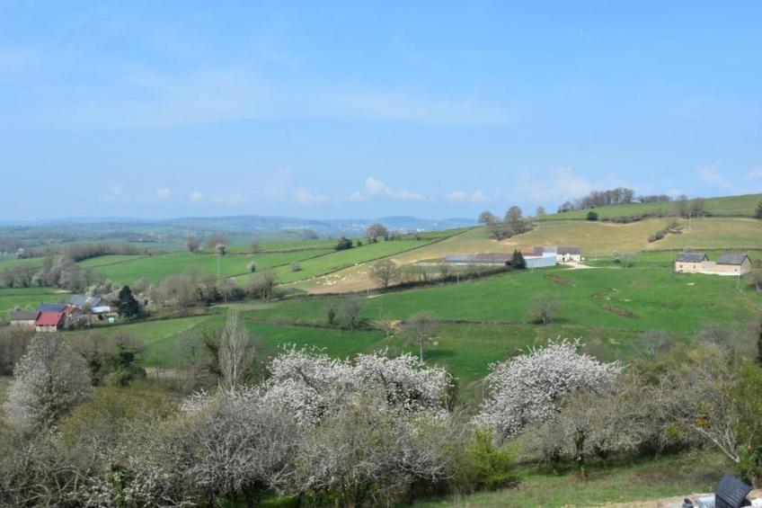 Gite 6 pers Bellevue - foto 32