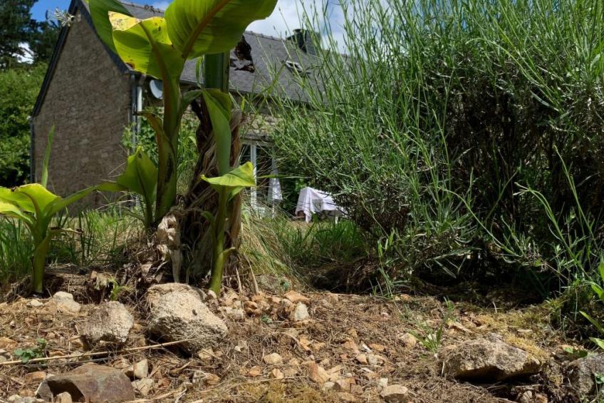 Ty Morgane-Typisch bretonisches Bauernhaus mit Pool - foto 17