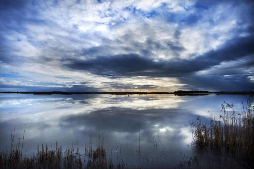 Grote Siege 44 - foto 31