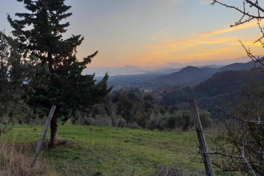 Casa Oleandri - foto 32