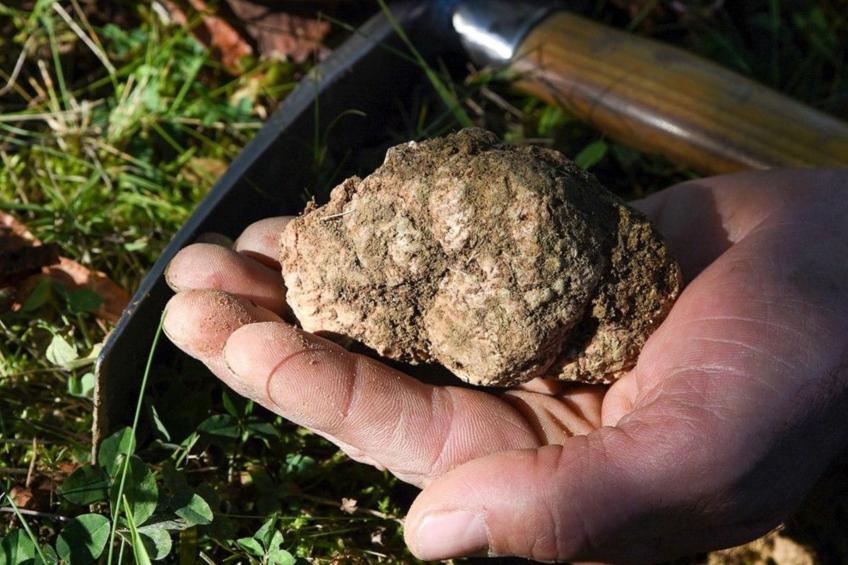 'Specchi d'Acqua' mit Pool - foto 59