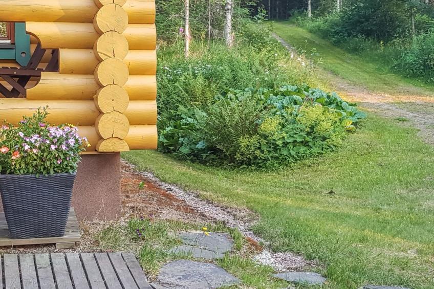 Heituinlahti, mäntyniemi - foto 20
