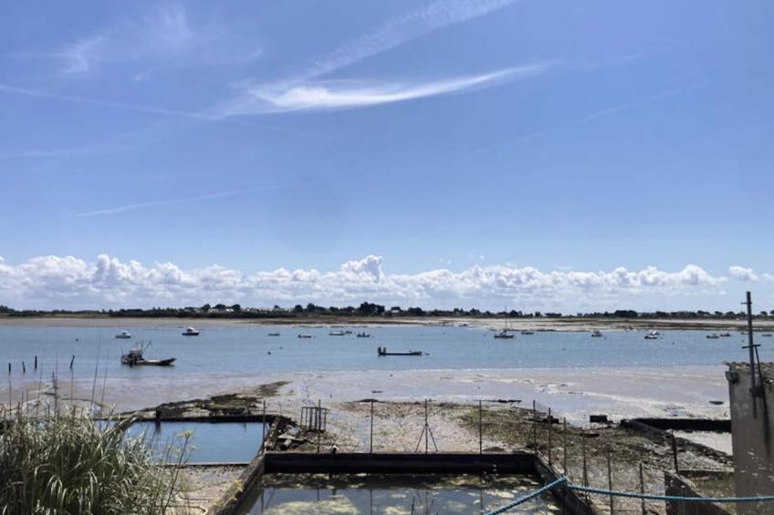 Maison à Le Tour du Parc - foto 38