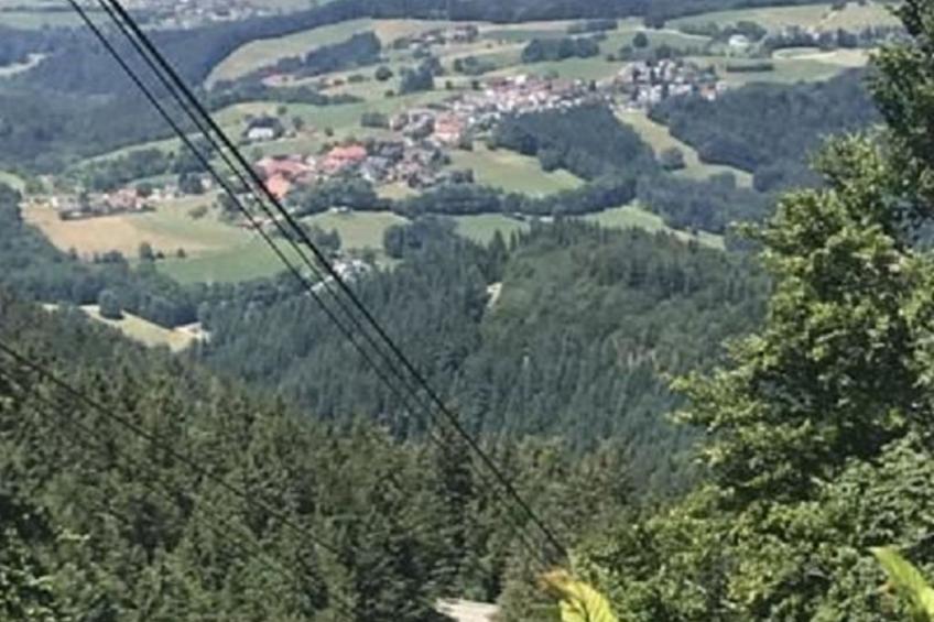 Haus Alpenblick - foto 17