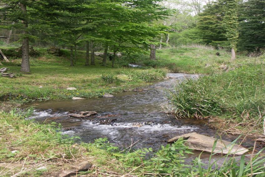 Gite du Pantouquet - foto 30