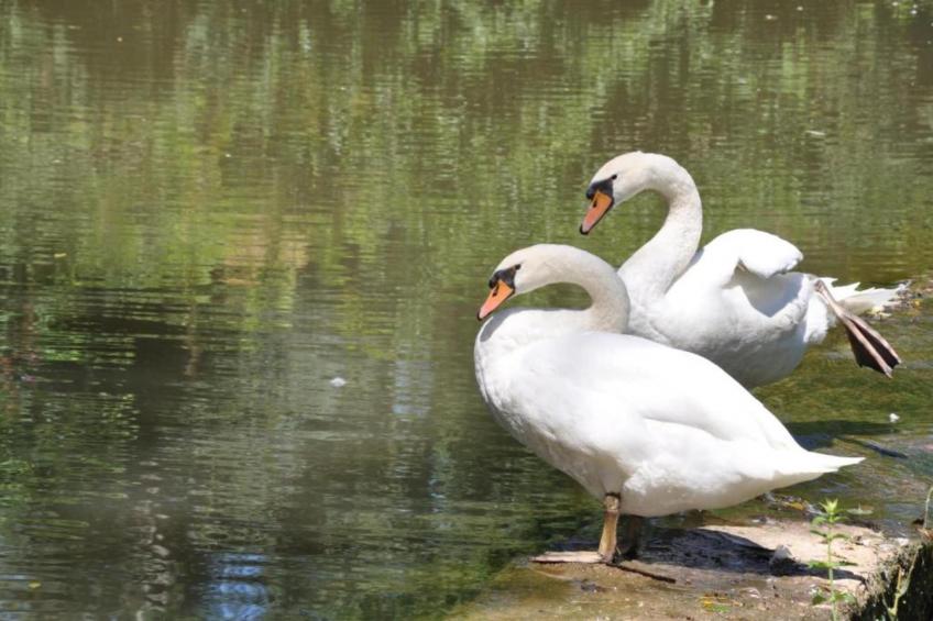 Maison de grand charme - foto 38