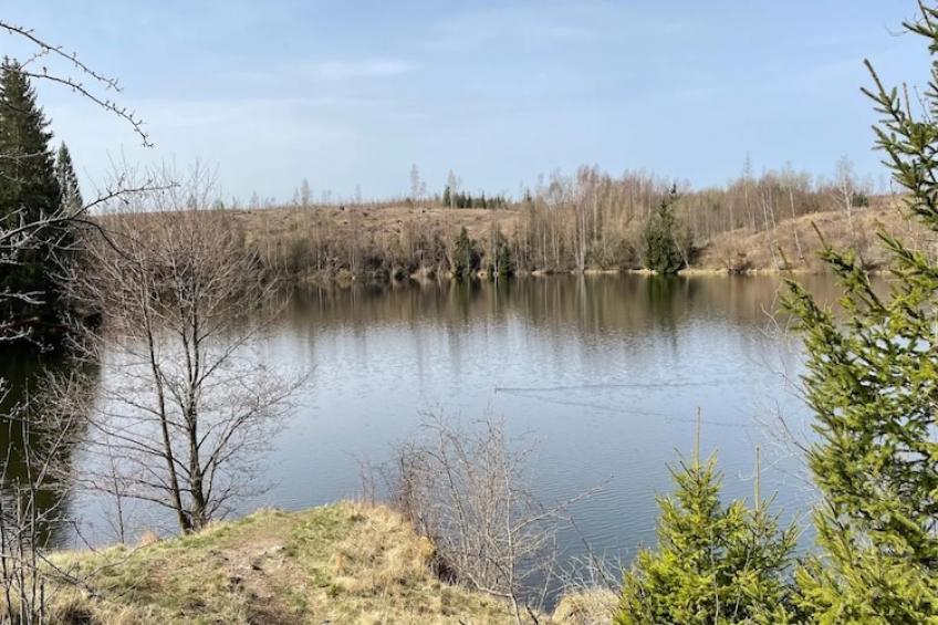 Ferienhaus in Hasselfelde - Haus 59 Blauvogel - foto 43