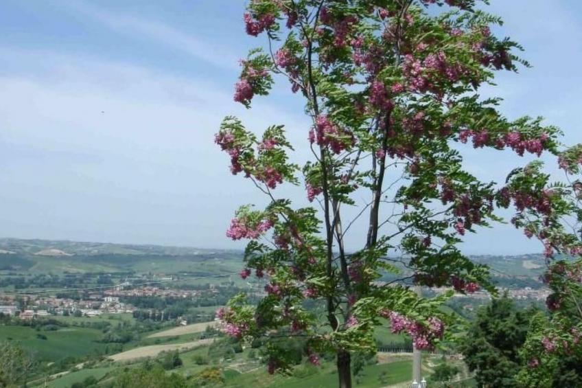 Charmante Lösung, Schwimmbad 10 Minuten vom Meer entfernt - foto 25