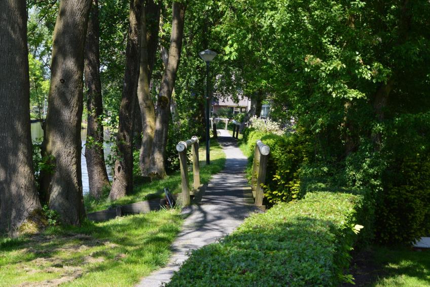 Aan de dwarsgracht - foto 26