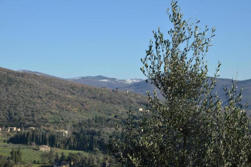 Villa Berta - foto 24