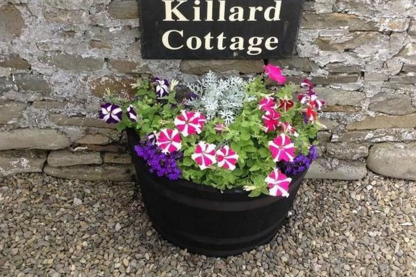 Killard Cottage - foto 11