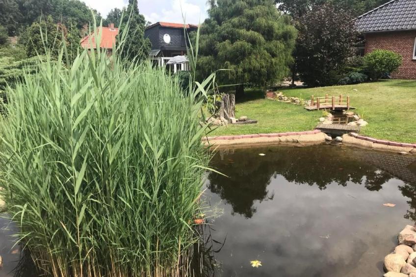 Elbe-Ilenpool -In Ruhe entspannen - foto 21