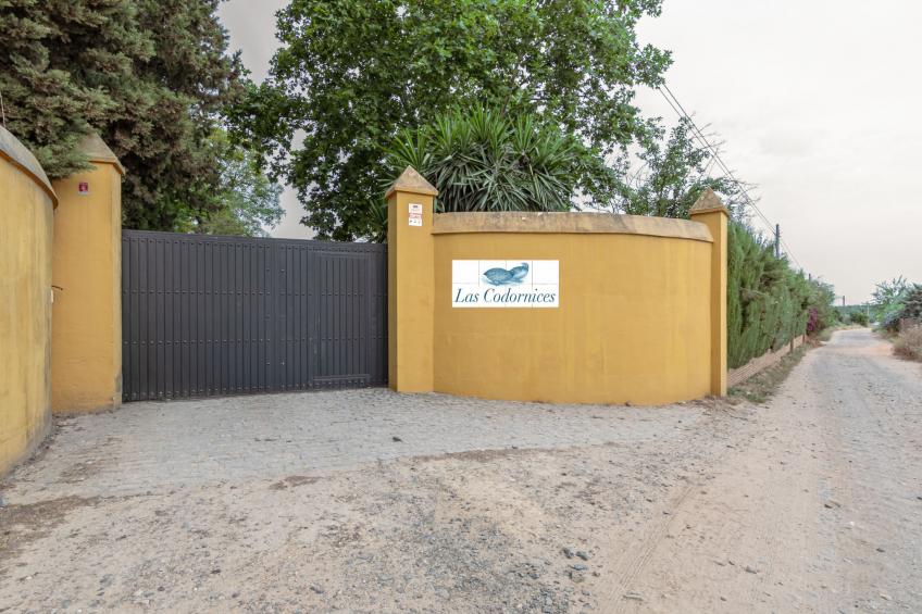 Las Codornices - foto 50