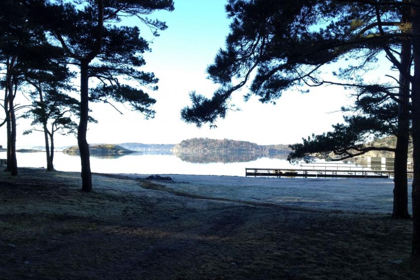 Wunderschönes Haus in einer fantastischen Natur am Meer - foto 17