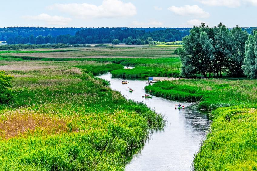 Zagroda nad Krutynią - foto 39
