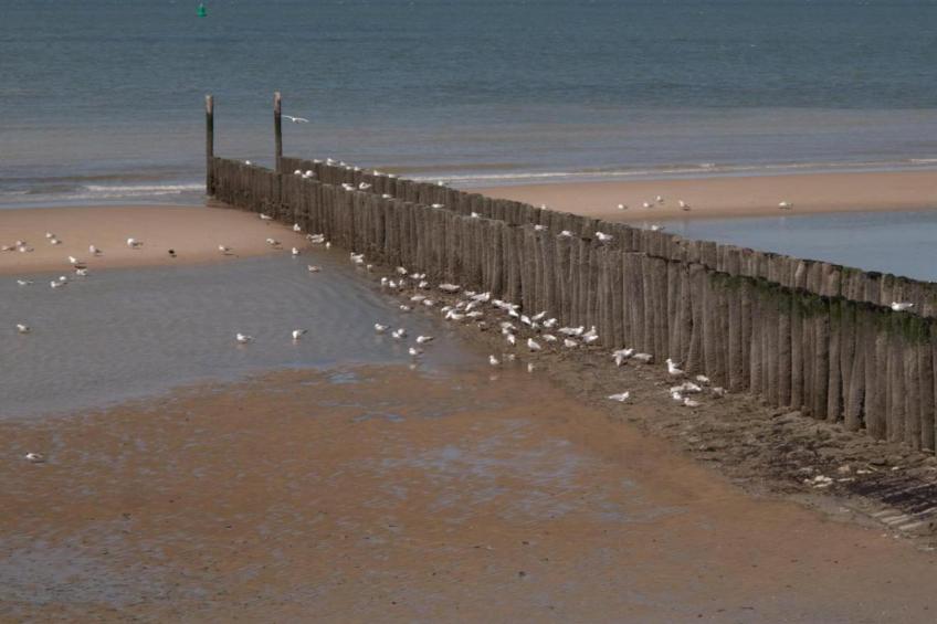 Hof 't Suytsant Conference - foto 36