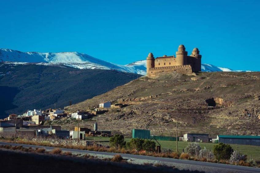 1468-Montebajo - foto 24