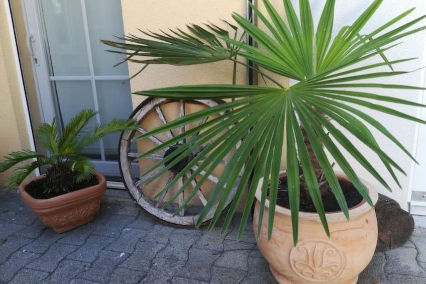 Tolle Ferienwohnung in Burkheim - foto 13