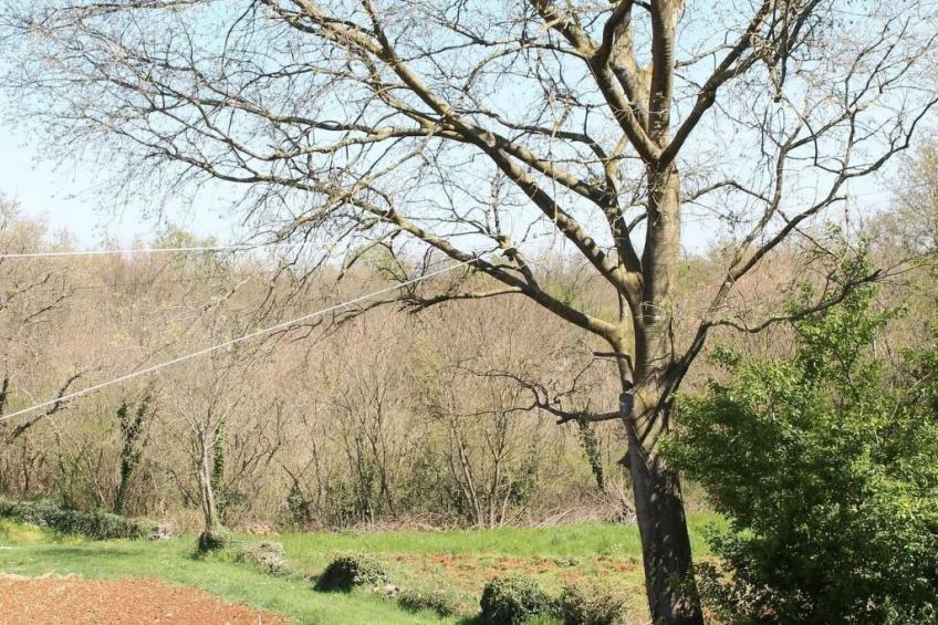 Apartment Fuma in Pinezići mit Privatem Balkon - foto 13