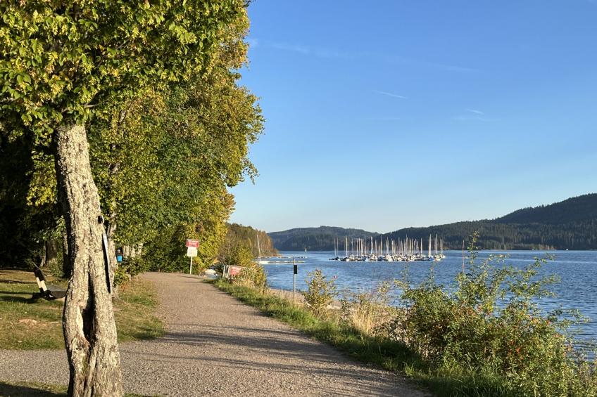 Habsmoosbach - foto 50