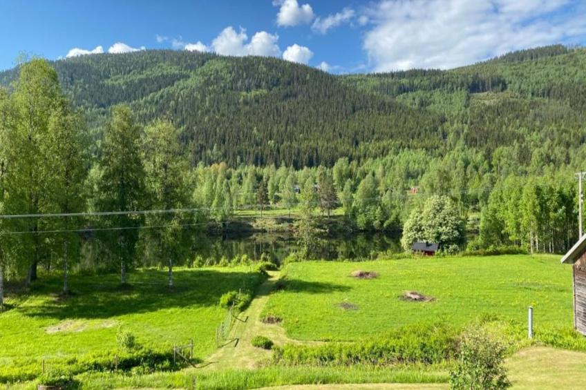 Mobilheim am Goldberger See - foto 26