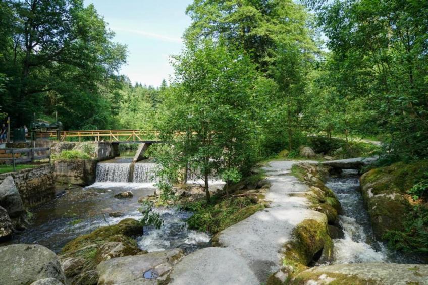 Vakantiepark Jägerwiesen - foto 28