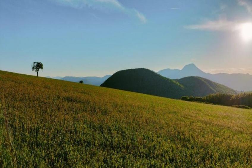 Binnella 10 - foto 31