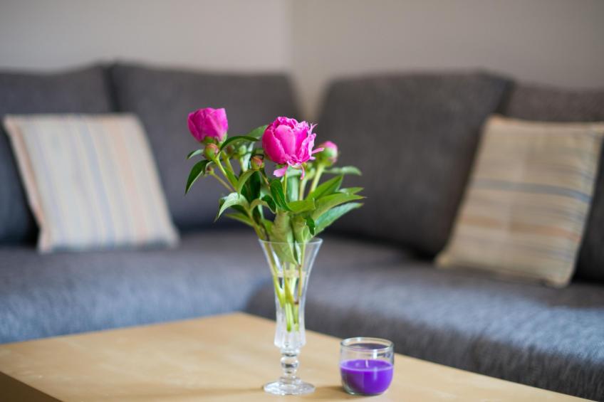 Appartement in Zasip mit Möblierter Terrasse - foto 34