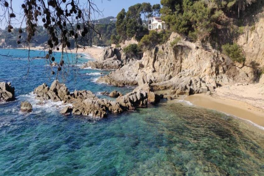 Prat Xirlo 65 - foto 39