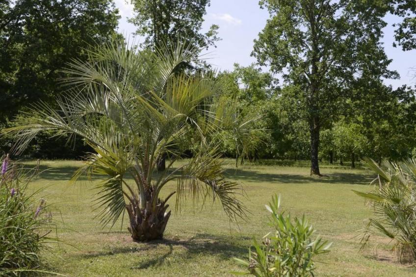 Villa DUXCAAR Beaum. - foto 39