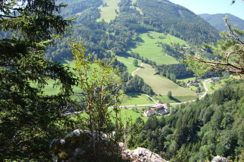 Haus König FEWO - foto 4