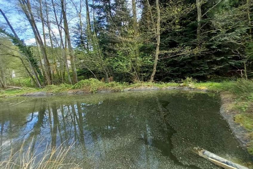 Chalet - TURQUESTEIN - foto 29