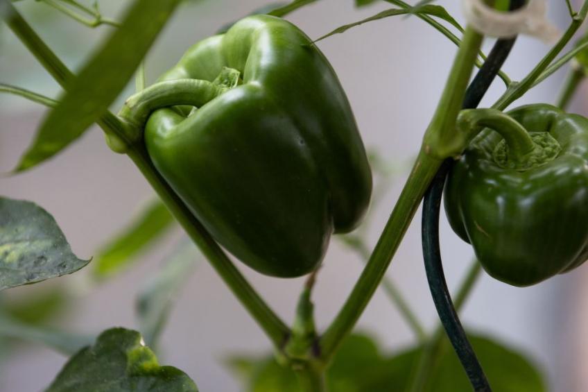 Chateau-Studio Bleu - foto 13