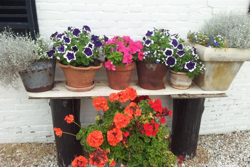 Wohnung auf dem Bauernhof - foto 29