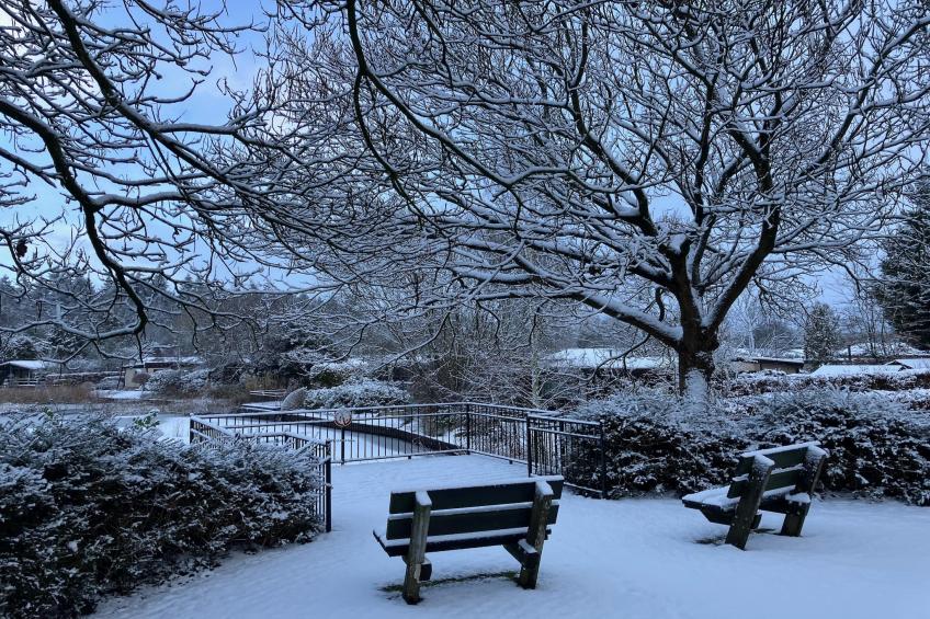 Knus chalet In een rustige omgeving met vijver - foto 16
