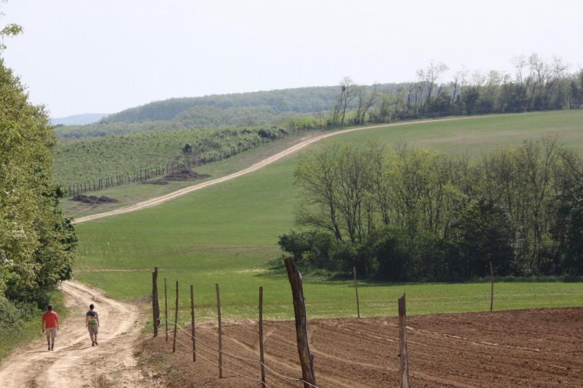Haus mit großem Garten, Terrasse und Balkon - foto 17
