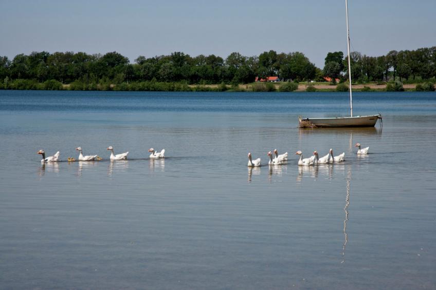 Maaspark Boschmolenplas - foto 24