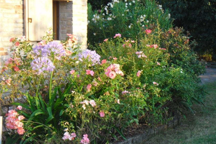 Haus in Ostra mit privatem Pool - foto 38