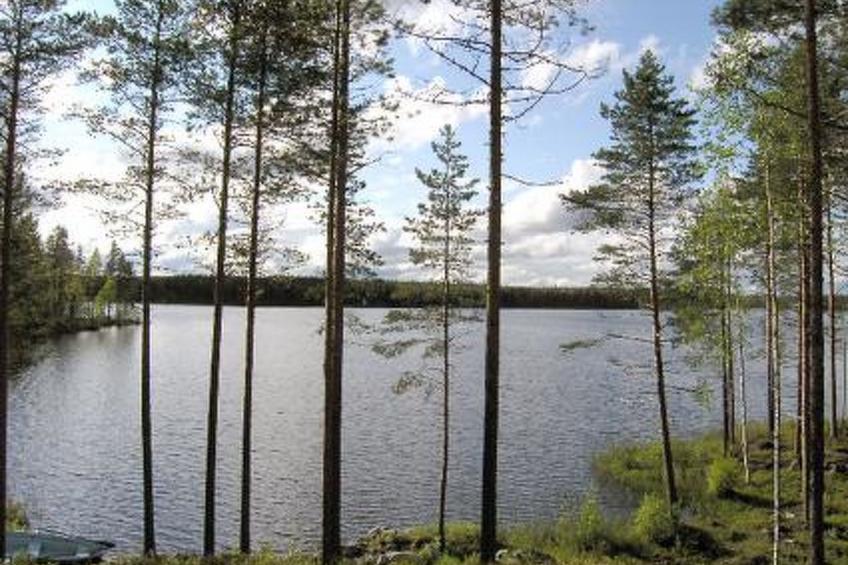 Syvälahti - foto 13