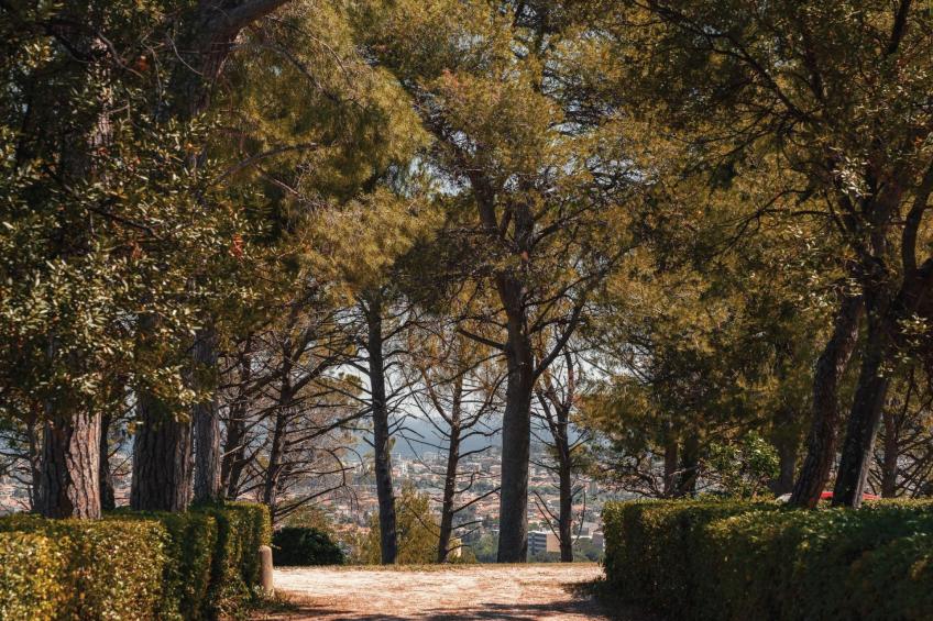 In einem Bauernhaus in den Hügeln, mit Garten und Pool - foto 20