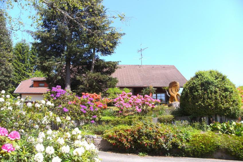 Gütenbach - foto 9