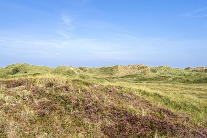 "Marjon" - 400m from the sea in NW Jutland - foto 25