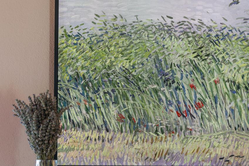 Podere Boscherini - foto 49