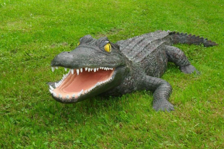 in Kuhklingen mit Großer Terrasse - foto 12