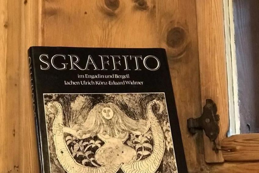 Chesa Delfins - foto 9