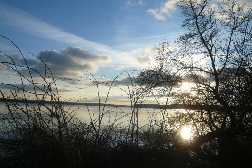 Charmante Wohnung in Dassow mit Terrasse und Grill - foto 29